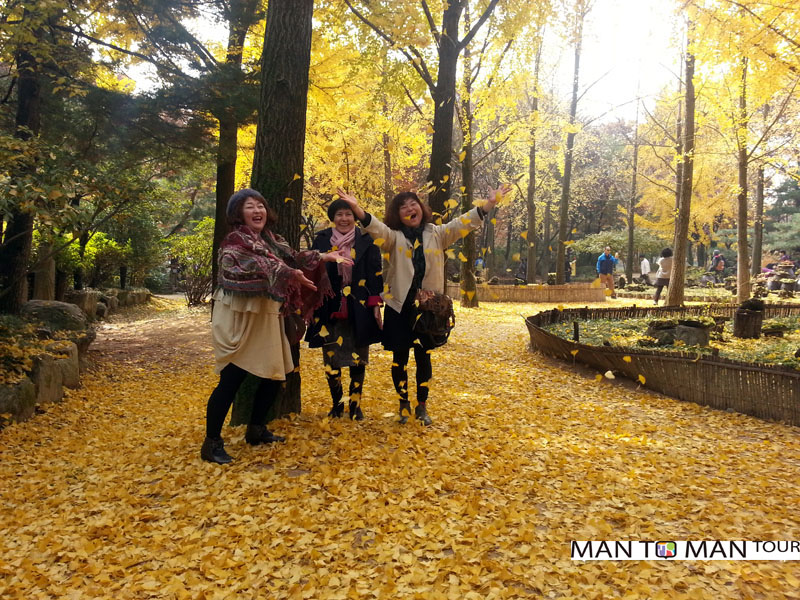 韓国の紅葉を満喫する韓国ソウル個人現地わがままツアー