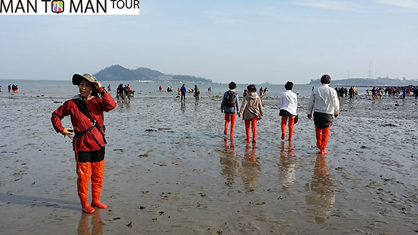 珍島神秘の海割れ祭りツアー