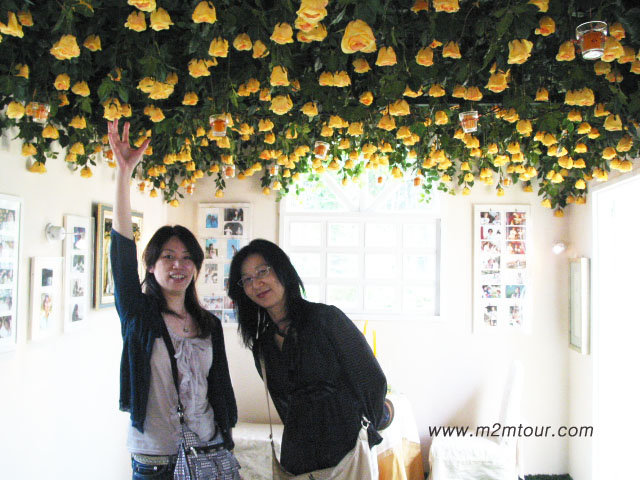 お元気ですか?　色んな話楽しかったですよ。春のワルツのような恋がしたいって言った人だれでしょう～