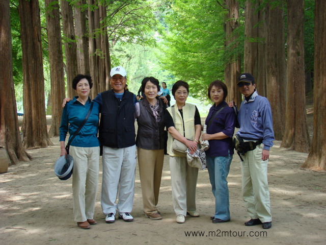 「ナミ島」50年付き合いうらやましい。。中学校同級生の韓国旅行。。皆様これからもお建機でまだ来年あいましょ。。。。