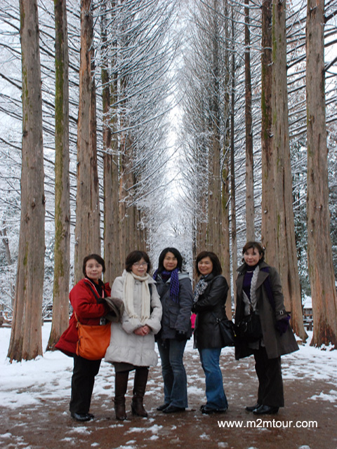 日本のお客様～＾＾　どうでしょうか!?　3月のナミ島の風景！？